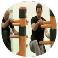 ikon Wing chun techniques