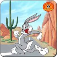 Looney Toons Super Adventure