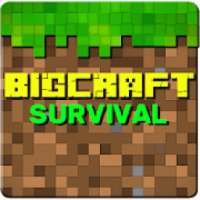 Big Craft Survival