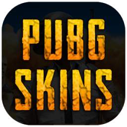 Pubgan 1.1