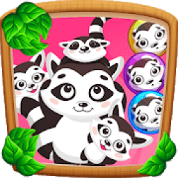 Help Baby Raccoon - Top Bubble Shooter Free Game icon