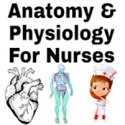 Anatomy and Physiology For Nurses