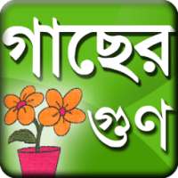 Gacher Gun - গাছের গুনাগুন on 9Apps