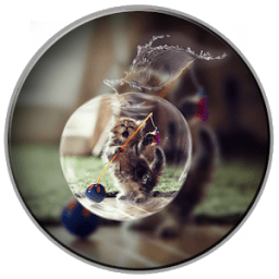 PIP Photo Collage Editor आइकन