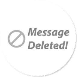 WhatsDelete Pro: Deleted messages & status saver