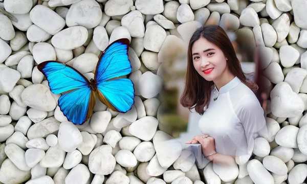 Butterfly photo frames screenshot 4