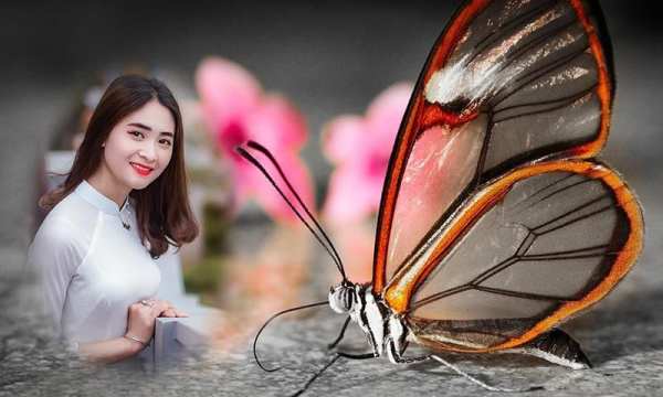 Butterfly photo frames screenshot 5