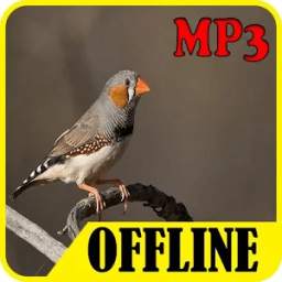Finch Bird Sound 1.0