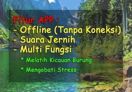 Finch Bird Sound Offline screenshot 2
