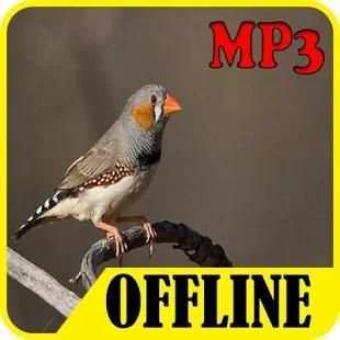 Finch Bird Sound Offline screenshot 1