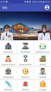 Sily (Portal Smart City) screenshot 5