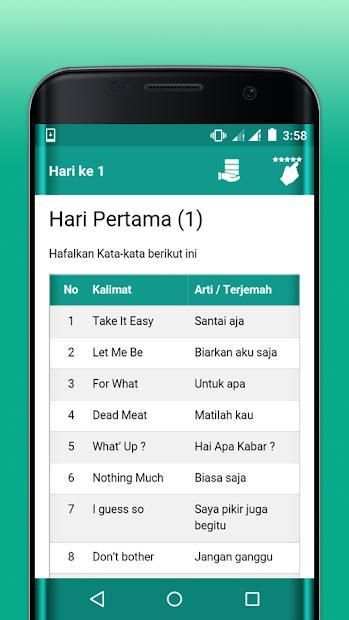 Mahir dan Fasih Bahasa Inggris скриншот 4