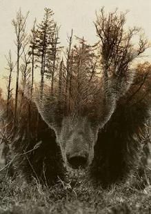 Tumblr Wallpaper screenshot 10