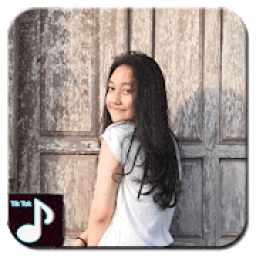 Video Tik Tok Hot music And video Tutorial icon