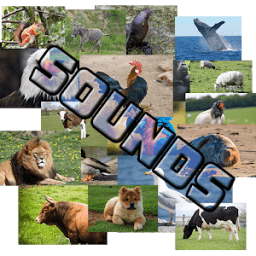 ikon Guess The Animal - Sounds