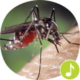 Mosquito Sounds Ringtones 1.0