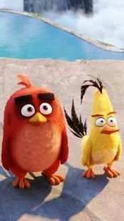 Angry Birds Live Wallpaper screenshot 2