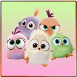 ikon Angry Birds Live Wallpaper