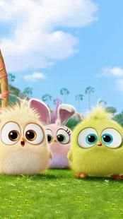 Angry Birds Live Wallpaper screenshot 3