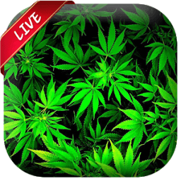 Weed Live Wallpaper आइकन