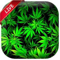 Weed Live Wallpaper