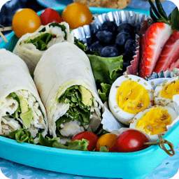 Lunch Recipes 1.1