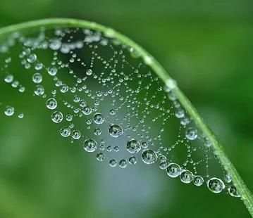 DSLR Camera screenshot 2