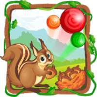 Squirrel Bubble Blast: Best Bubble Shooter
