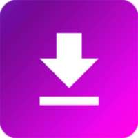 Mini Video Downloader