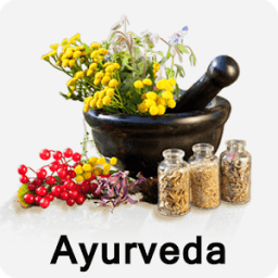ikon Ayurveda Ayurvedic