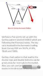 Gartley Harmonic Pattern Trading Strategy screenshot 2