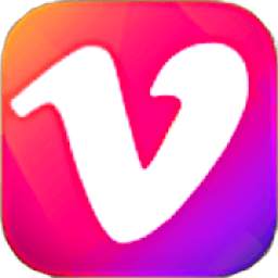 Video Downloader 1.0