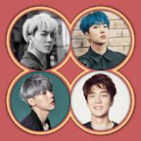 WINNER (KPOP) MATCHING GAME