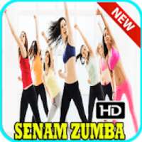 Senam Zumba Terbaru dan Lengkap on 9Apps