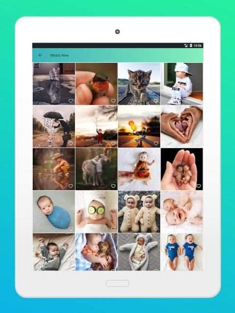 Status, DP & Profile Pictures स्क्रीनशॉट 3