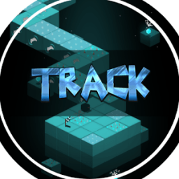 Track icon
