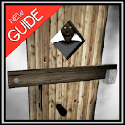 ikon Guide for Granny