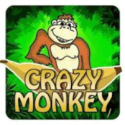 Crazy Monkey World