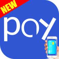 New S Pay Advices