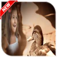 Duck Photo frame on 9Apps