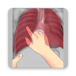 ikon Interpretation Chest X Ray