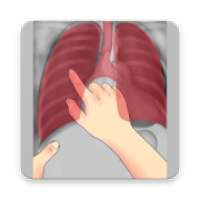 Interpretation Chest X Ray