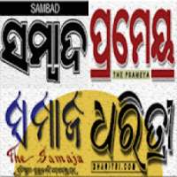 All Odia News Paper