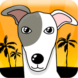 ikon Greyhound Racer