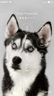 Siberian Huski Screen Lock Dog Phone Lock Security screenshot 6