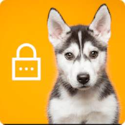 Siberian Huski Screen Lock Dog Phone Lock Security 1.0
