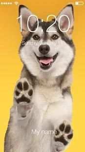 Siberian Huski Screen Lock Dog Phone Lock Security screenshot 7