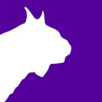 Free beIN Sport