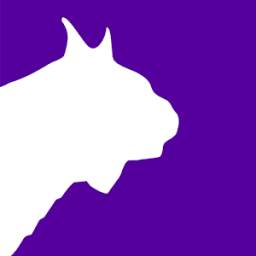 Free beIN Sport 1.0