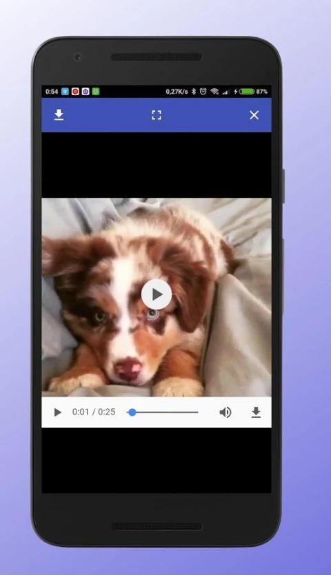 Download Manager For Facebook screenshot 5